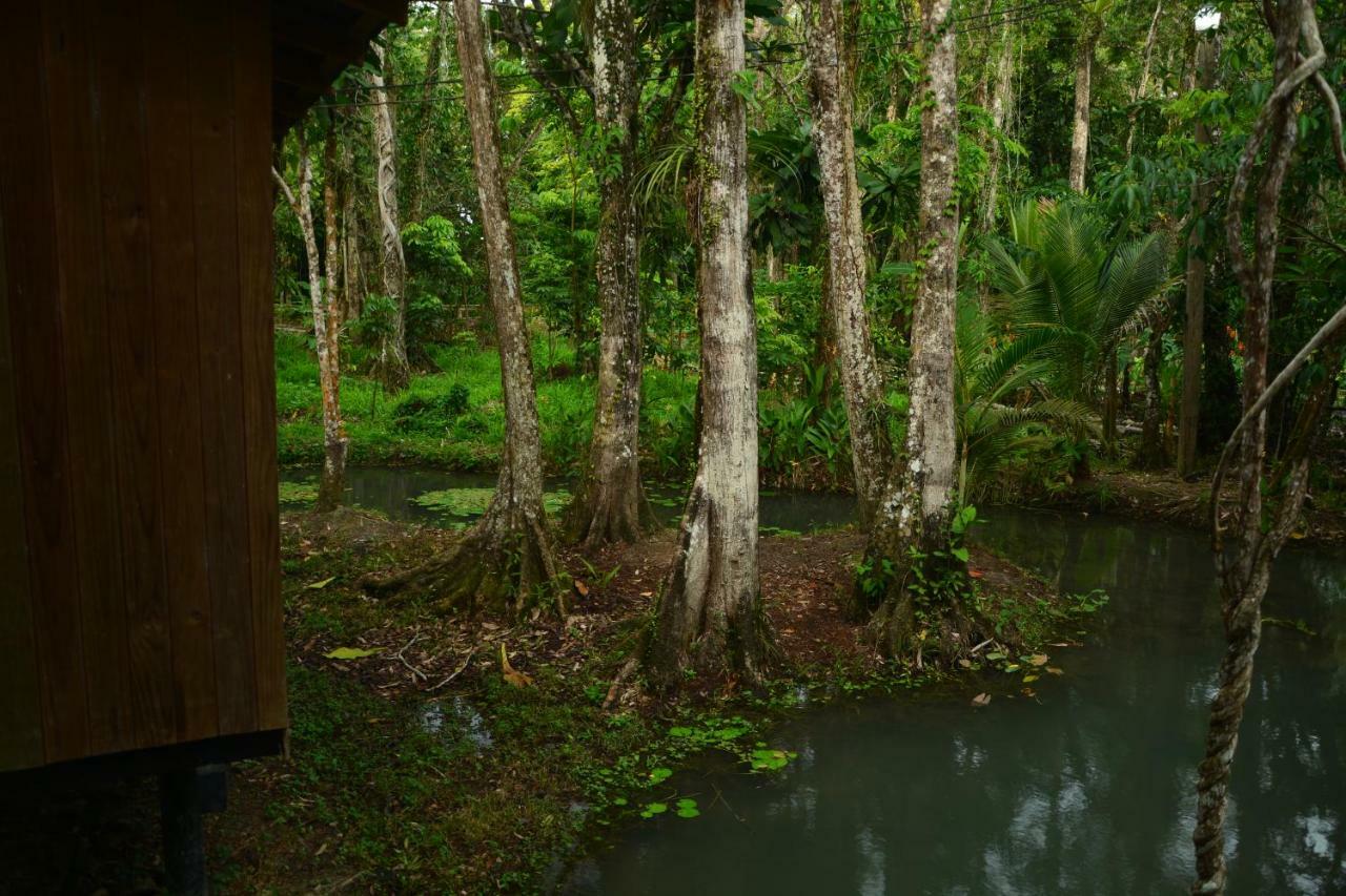 Hotel Kangaroo Y Restaurante Rio Dulce Town Exterior foto